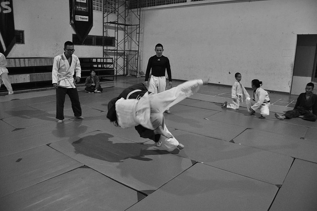 umění judo